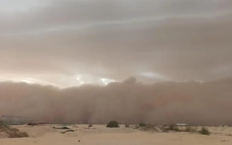 تحذير جديد.. حظر خروج فئة محددة بسبب العاصفة الترابية القادمة